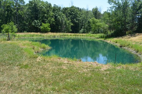 Property photo 10 - 21 Acre Modern Country Estate